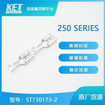 ST730173-2 Product Pictures